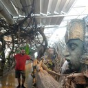 ���������� �����-���������, ���� ������� ����, 38 ���, ������������ ��� ����� � ���������, c�������� ���������, ���������