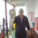  ,   , 65 ,   ,   , c 