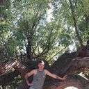 ���������� ����, ���� ����� ���������, 25 ���, ������������ ��� ������, ����� � ���������, c�������� ���������