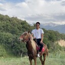 ���������� ������, ���� ����� ������, 23 ����, ������������ ��� ������, ����� � ���������