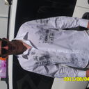  ,   , 39 ,   ,   , c 