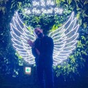 ���������� ������������, ���� ������� �����, 38 ���, ������������ ��� ������, ����� � ���������