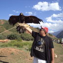 ���������� �������, ���� ������� ������, 49 ���, ������������ ��� ������, ����� � ���������, c�������� ���������