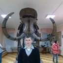 ���������� �����, ���� ������� ������, 38 ���, ������������ ��� ����� � ���������, c�������� ���������