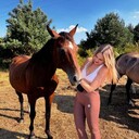  ,   , 29 ,   ,   