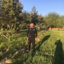 ���������� ���������, ���� ������� ������, 37 ���, ������������ ��� ������, ����� � ���������