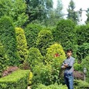 ���������� �������, ���� ������� ��������, 31 ���, ������������ ��� ������, ����� � ���������