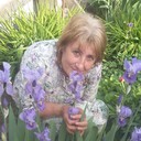 ���������� ����, ���� ������� �����, 65 ���, ������������ ��� ������, ����� � ���������, c�������� ���������