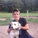 ���������� ������, ���� ������� ������, 38 ���, ������������ ��� ������, ����� � ���������, c�������� ���������