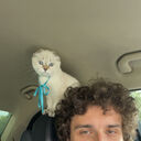 ���������� ������, ���� ������� ������, 29 ���, ������������ ��� ������, ����� � ���������