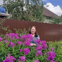 ���������� ������, ���� ������� ���������, 65 ���, ������������ ��� c�������� ���������, ���������