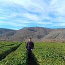 ���������� �����������, ���� ������� ������, 31 ���, ������������ ��� ������, ����� � ���������, c�������� ���������