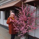  -,   , 52 ,   ,   