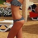  ,   , 33 ,   