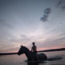 ���������� �����, ���� ������� ����, 34 ����, ������������ ��� ����� � ���������, c�������� ���������