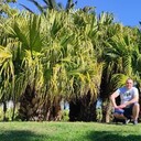  -,   Wiesiek, 40 ,   ,   
