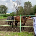 ���������� ������, ���� ������� Artem, 35 ���, ������������ ��� ������, ����� � ���������, c�������� ���������, ���������