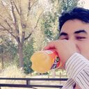 ���������� ������, ���� ������� Daler, 26 ���, ������������ ��� ������, ���������