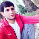  ,   Salmon, 33 ,   ,   