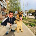  ,   , 38 ,   