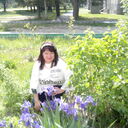  ,   , 66 ,   ,   