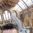 ���������� ��������, ���� ������� �����, 38 ���, ������������ ��� ������, ����� � ���������, c�������� ���������