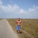  ,   German, 38 ,   