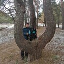 ���������� ������, ���� ������� �����, 47 ���, ������������ ��� ������, ����� � ���������