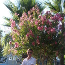  ,   , 35 ,   ,   , c 