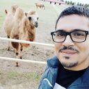  ,   Miran, 41 ,   ,   