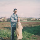 ,   Hovo, 42 ,     , c 