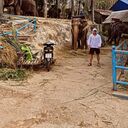 ���������� ���������, ���� ������� ������, 37 ���, ������������ ��� ������, ����� � ���������, ���������