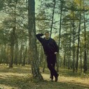 ���������� ������, ���� ������� ������, 43 ����, ������������ ��� ������, ����� � ���������, c�������� ���������