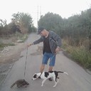 ���������� ���������, ���� ������� ������������, 43 ����, ������������ ��� ������, ����� � ���������, c�������� ���������