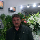  ,   , 53 ,  