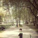 ���������� ������, ���� ������� �����, 32 ����, ������������ ��� ������, ����� � ���������, c�������� ���������, ���������