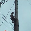 ���������� �������, ���� ������� ������, 44 ����, ������������ ��� ������, ����� � ���������, c�������� ���������