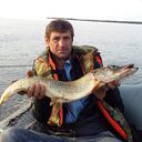 ���������� �����-���������, ���� ������� ���������, 49 ���, ������������ ��� ������, ����� � ���������