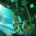  -,   , 29 ,   ,   , c 