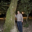  ,   , 47 ,   ,   
