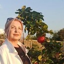  ,   , 50 ,   ,   