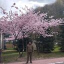 ���������� ���������-�������, ���� ������� ����������, 35 ���, ������������ ��� ������, ����� � ���������, c�������� ���������