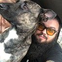 ���������� ������, ���� ������� ��������, 37 ���, ������������ ��� ������, ����� � ���������, c�������� ���������, ���������