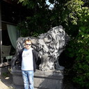 ���������� ��������, ���� ������� ������, 40 ���, ������������ ��� c�������� ���������