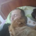  ,   , 37 ,     , c 