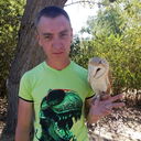 ���������� ���������, ���� ������� �����, 40 ���, ������������ ��� ������, ����� � ���������, c�������� ���������