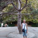  ,   , 65 ,   ,   