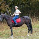 ���������� �����������, ���� ������� ������, 52 ����, ������������ ��� ����� � ���������, c�������� ���������