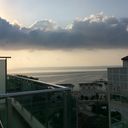 ���������� ������, ���� ������� C�����, 41 ���, ������������ ��� ������