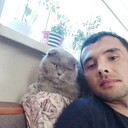 ���������� ������, ���� ������� ������, 36 ���, ������������ ��� ������, ����� � ���������